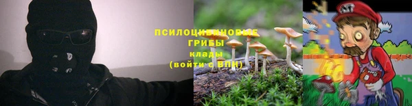 молекула духа Алексин