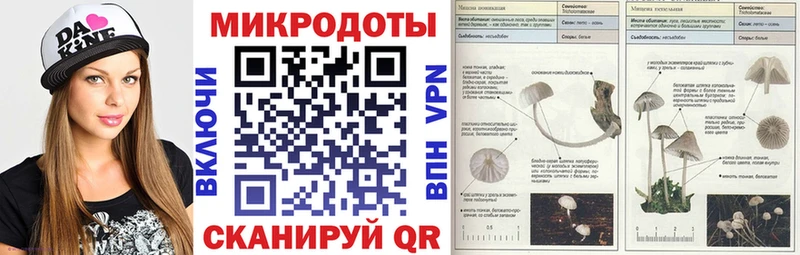 Галлюциногенные грибы Psilocybe  даркнет формула  Павлово  где купить наркоту 