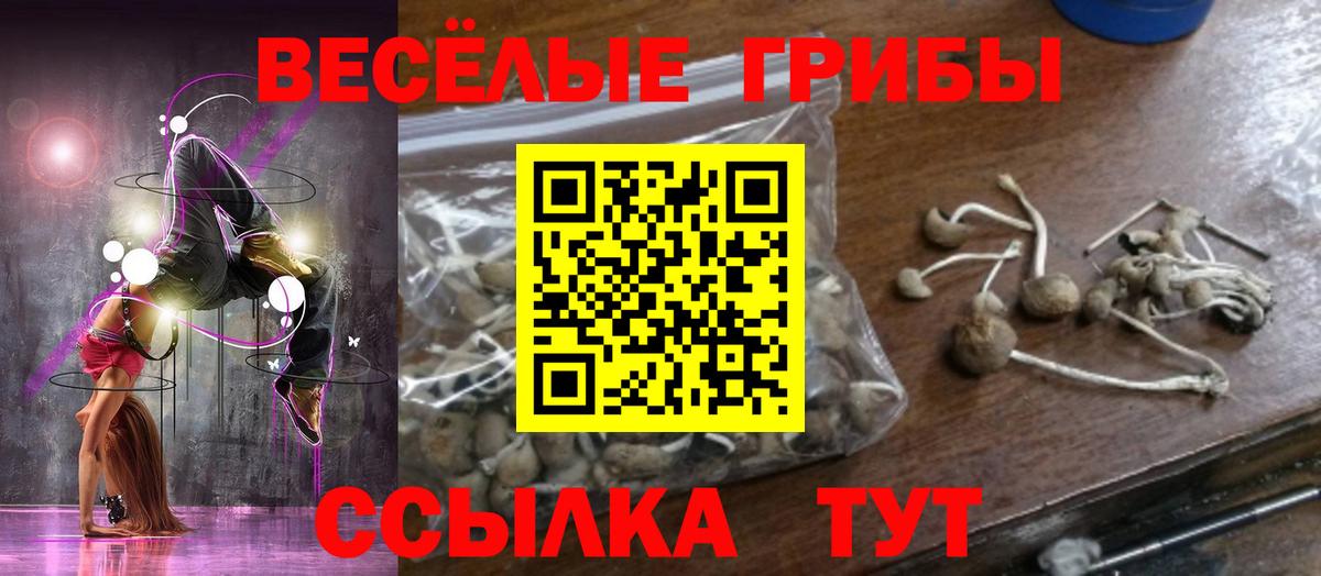 Галлюциногенные грибы Psilocybine cubensis Павлово